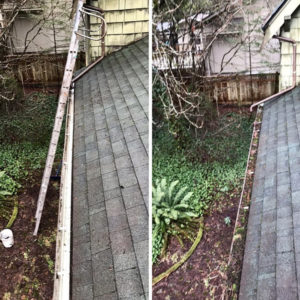 Gutter Cleaning